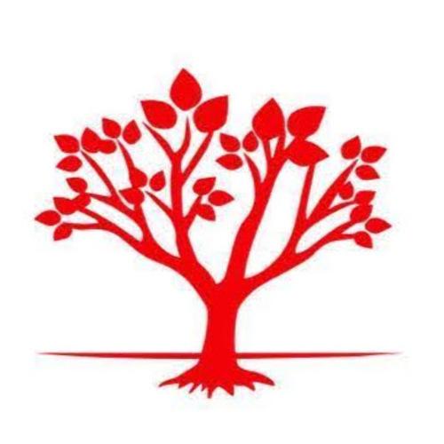 The Law Offices of David C Weir PLLC