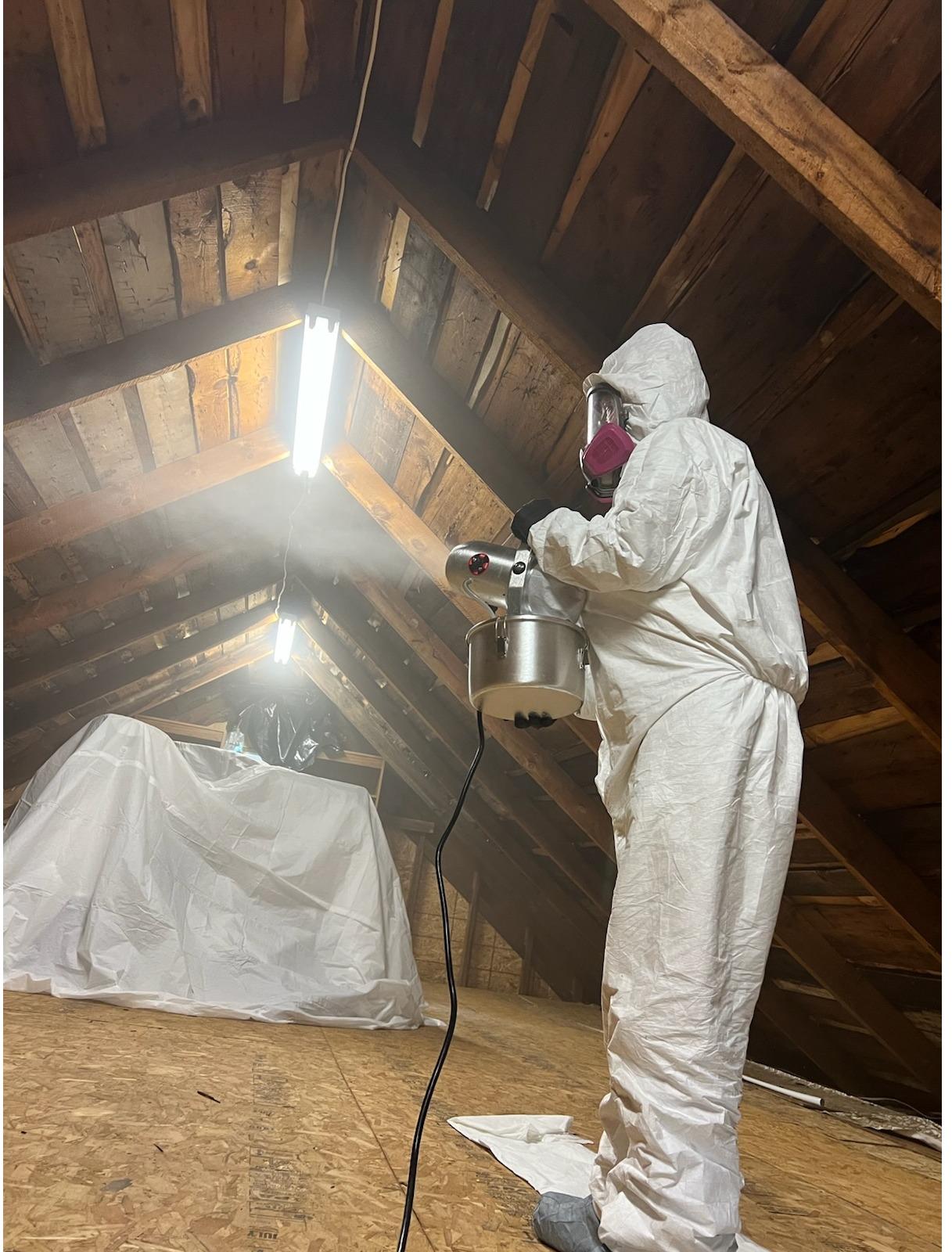 Quality Mold Remediation LLC