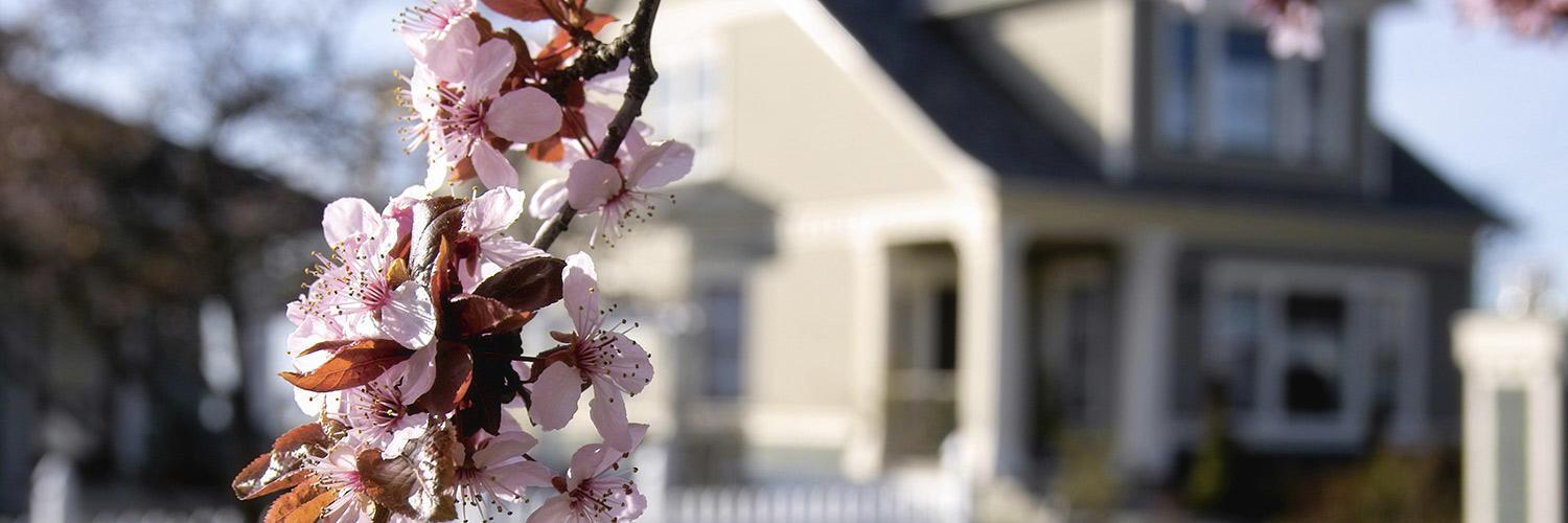 Corporate Investors Mortgage Group