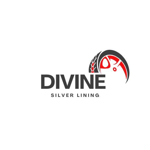 Divine Silver Lining LLC
