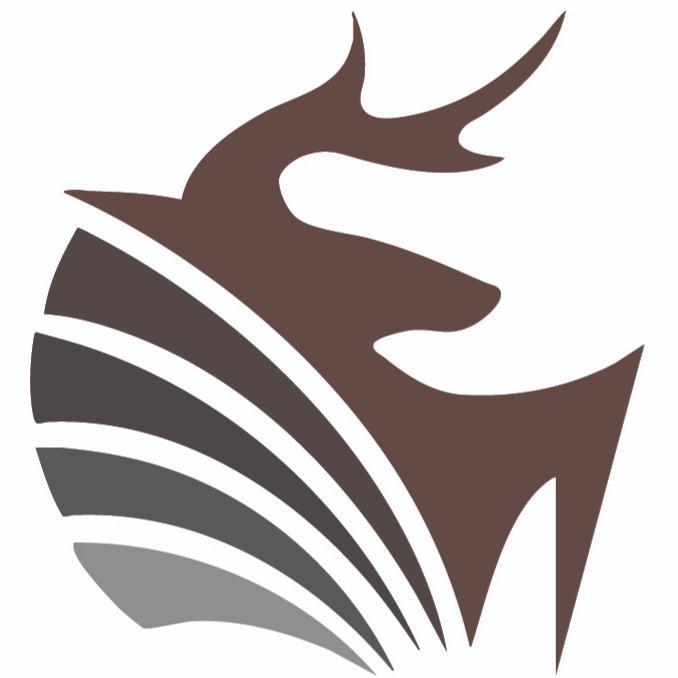 Big Buck Home Remodeling & Construction