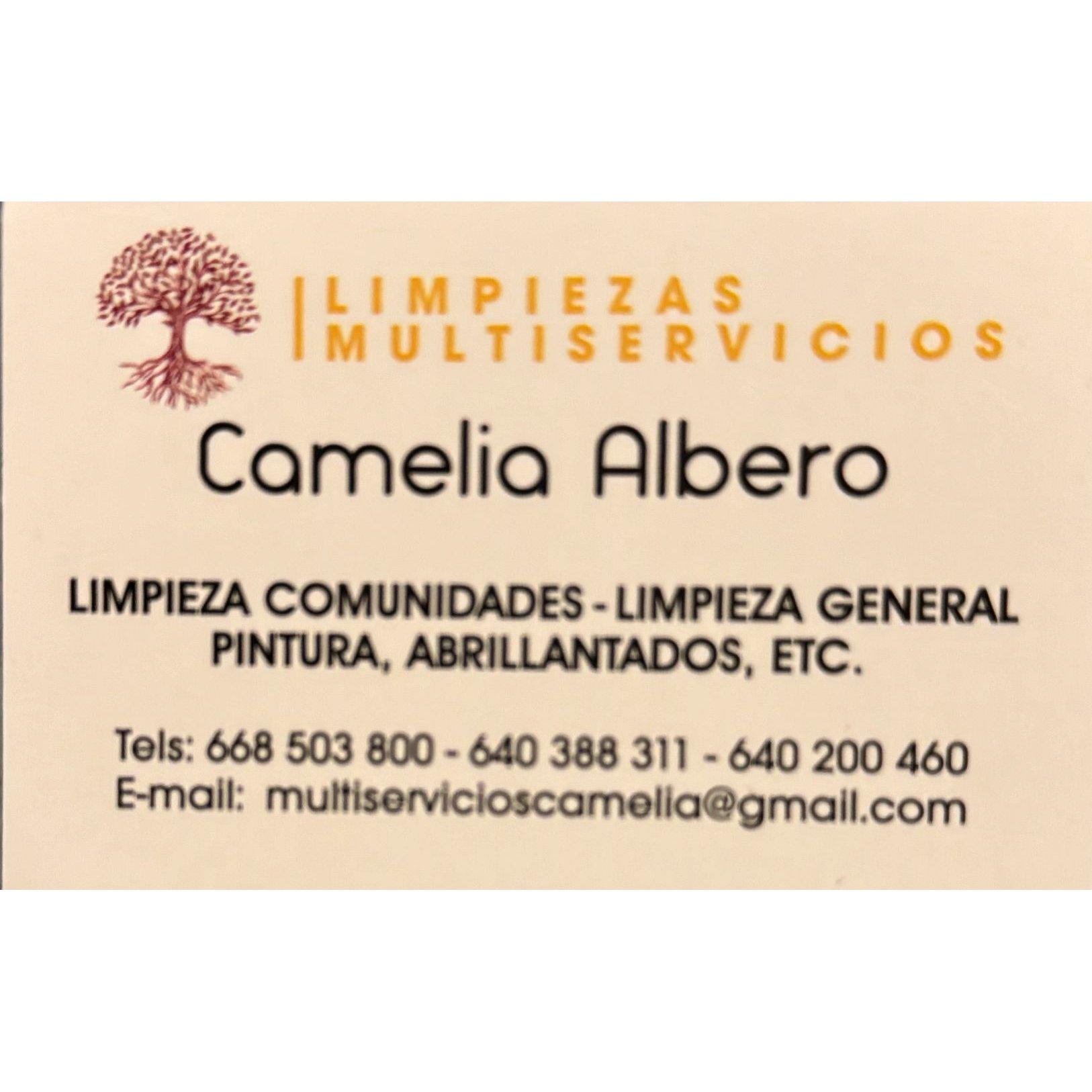 Multiservicios Camelia Albero
