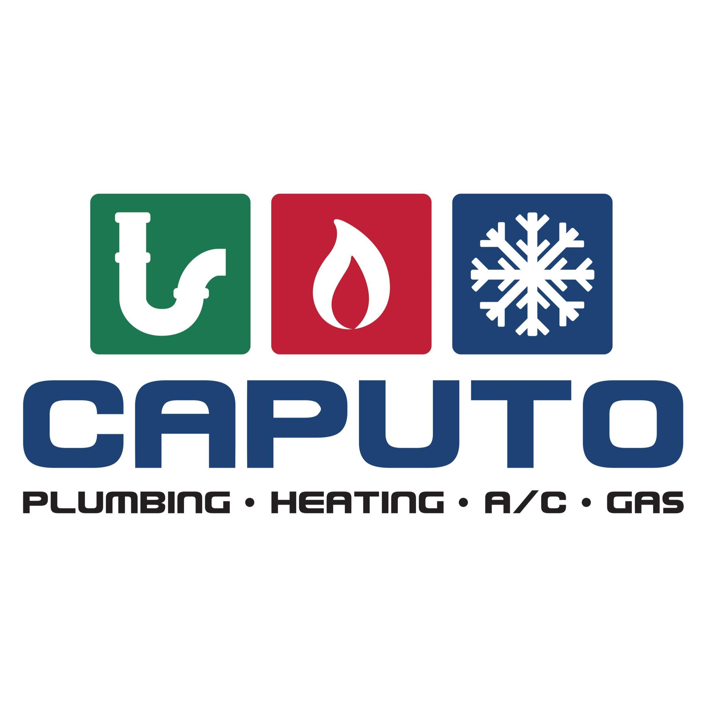 Caputo Mechanical Services Inc.