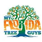 My Florida Tree Guys