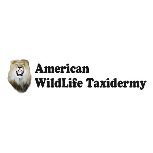 American Wild Life Taxidermy
