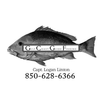 Gulf Coast Guide Fishing and Adventures