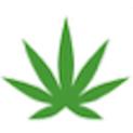 MEDCAN FLORIDA