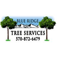Blue Ridge Tree Services LLC