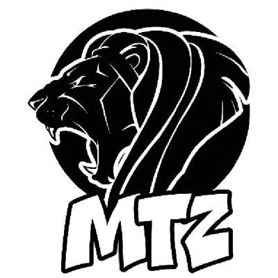 MTZ Montagetechnik Zink GmbH