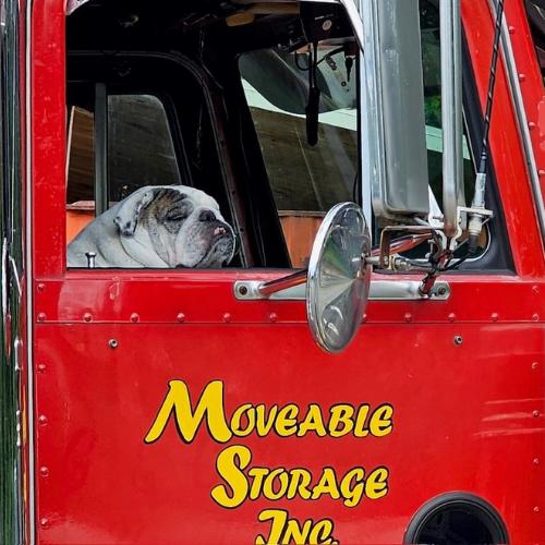 Movable Storage