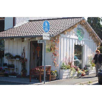 Vera Fischer Blumen Bandolino