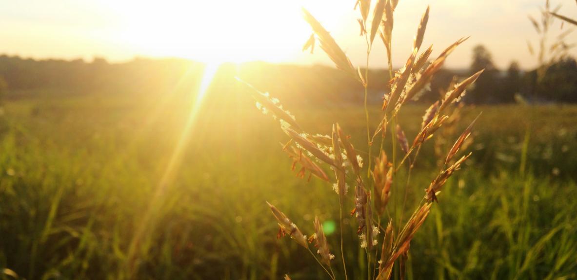 Smooth Medical Aesthetic Wellness Spa