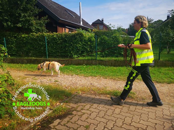 Hundeschule - In Balance with Dogs