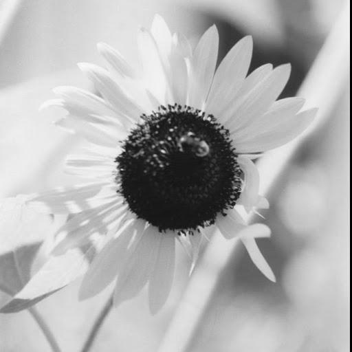 RevTemah Garbaty M.S.C.A.S.A.C.T. Pastoral Counseling