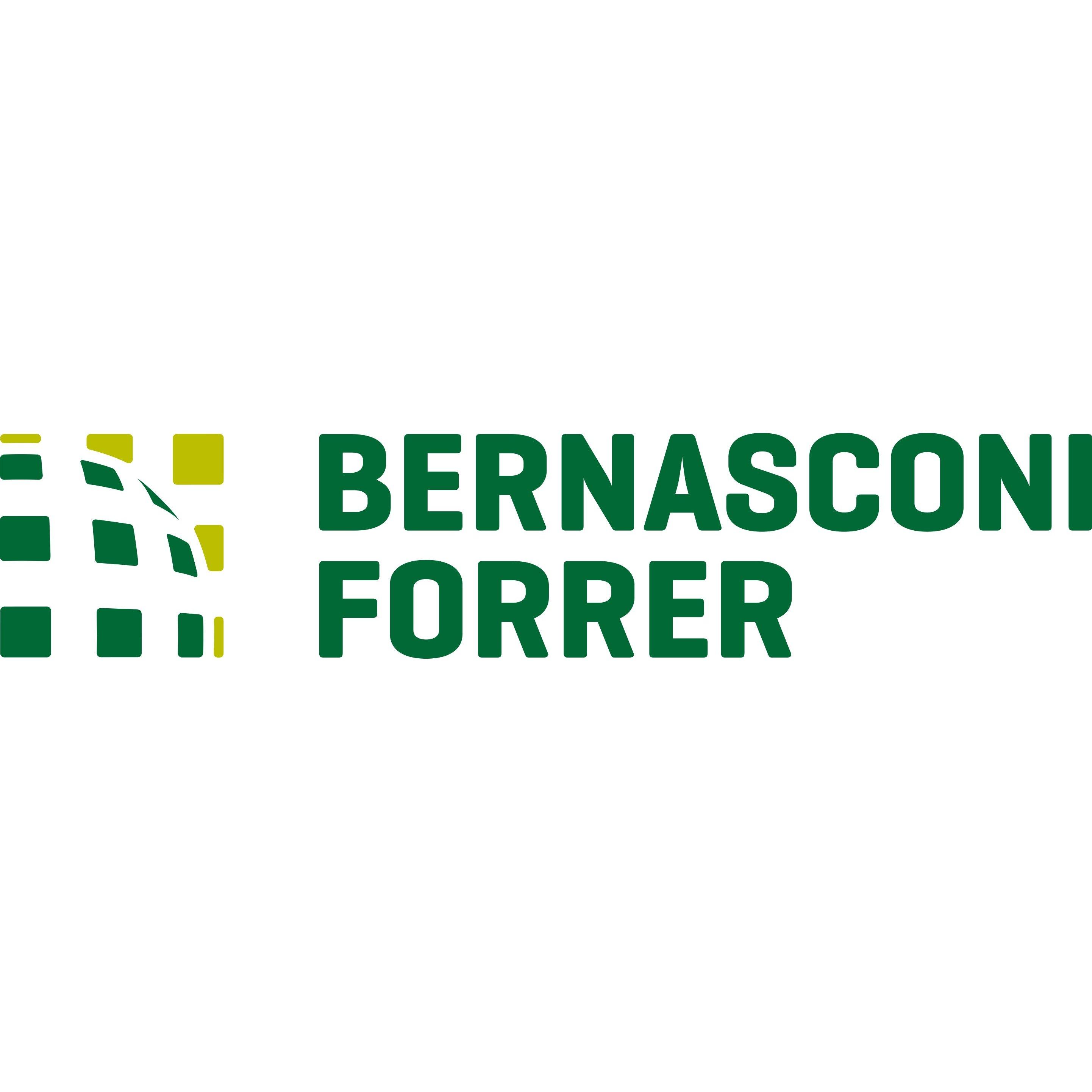 Bernasconi e Forrer ingegneria e misurazioni SA
