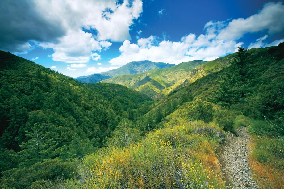 The Meadows by Toll Brothers