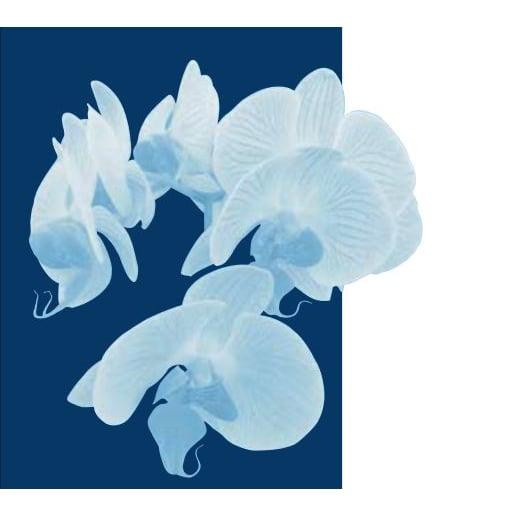 Bögli Bestattungen GmbH