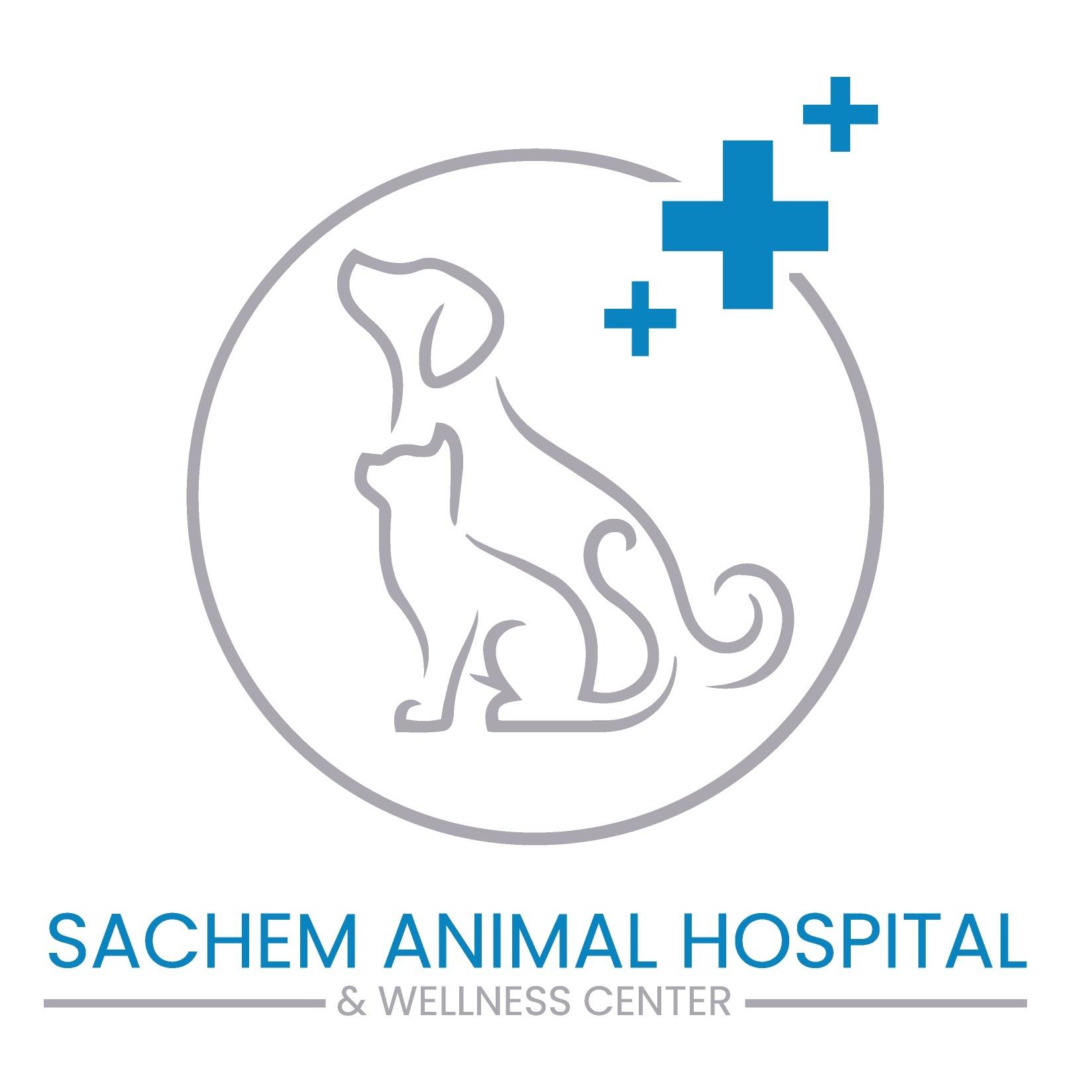 Sachem Animal Hospital
