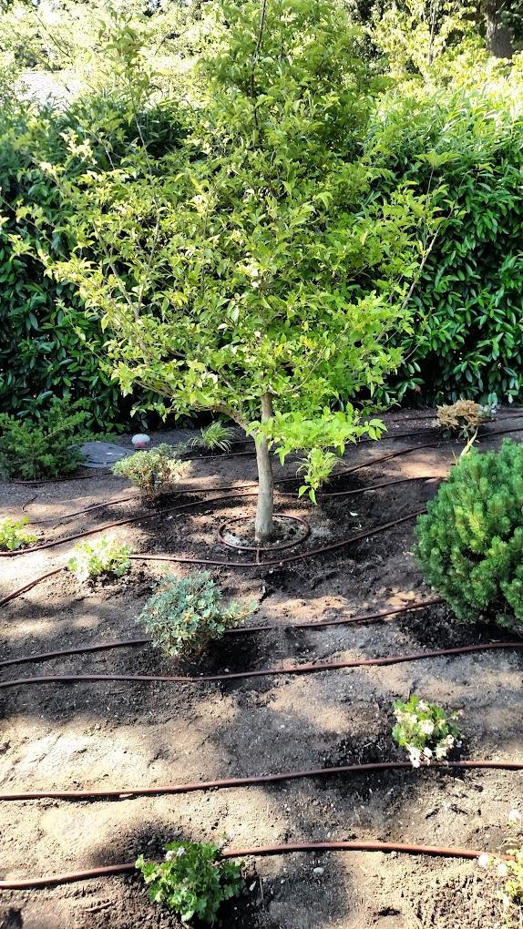 E & R Septic & Landscaping