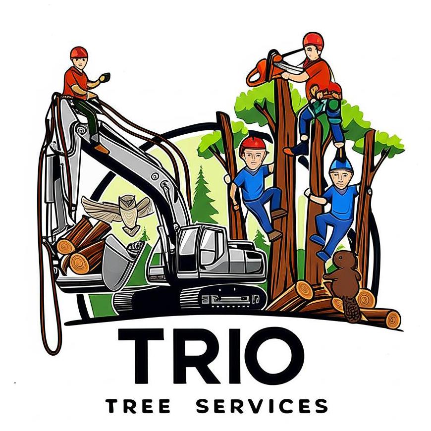 Trio Tree Services
