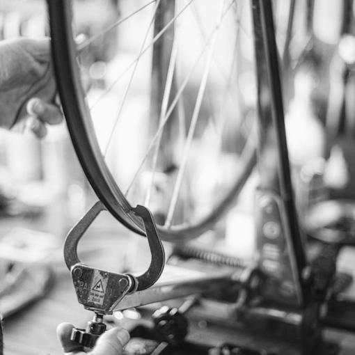 Rosenberger Fahrräder