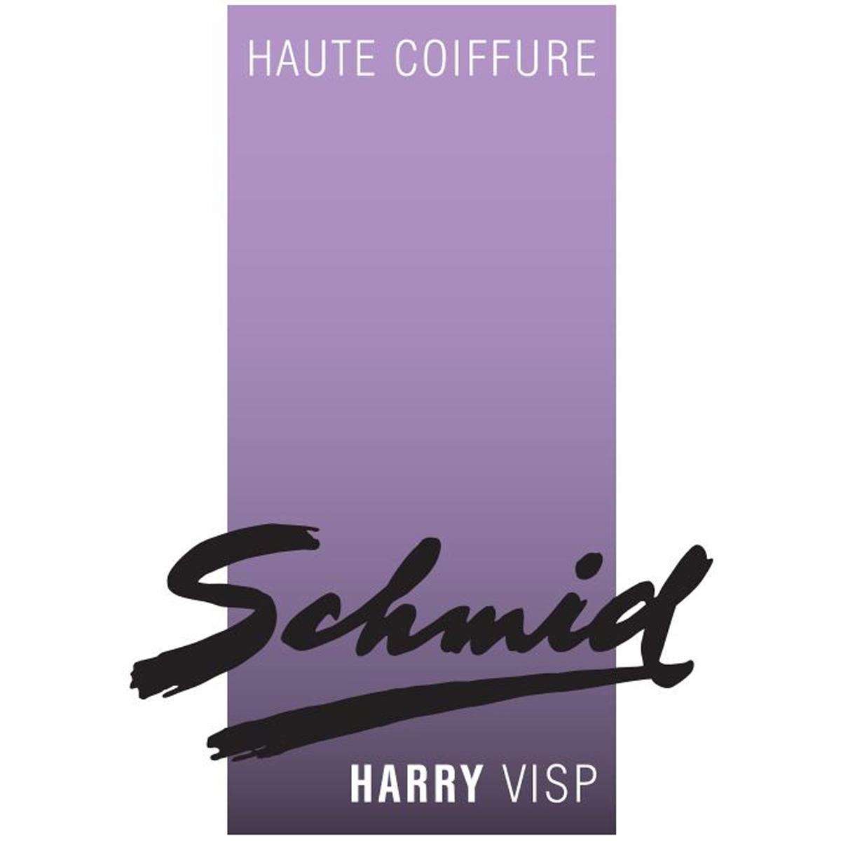 Haute Coiffure Harry Schmid