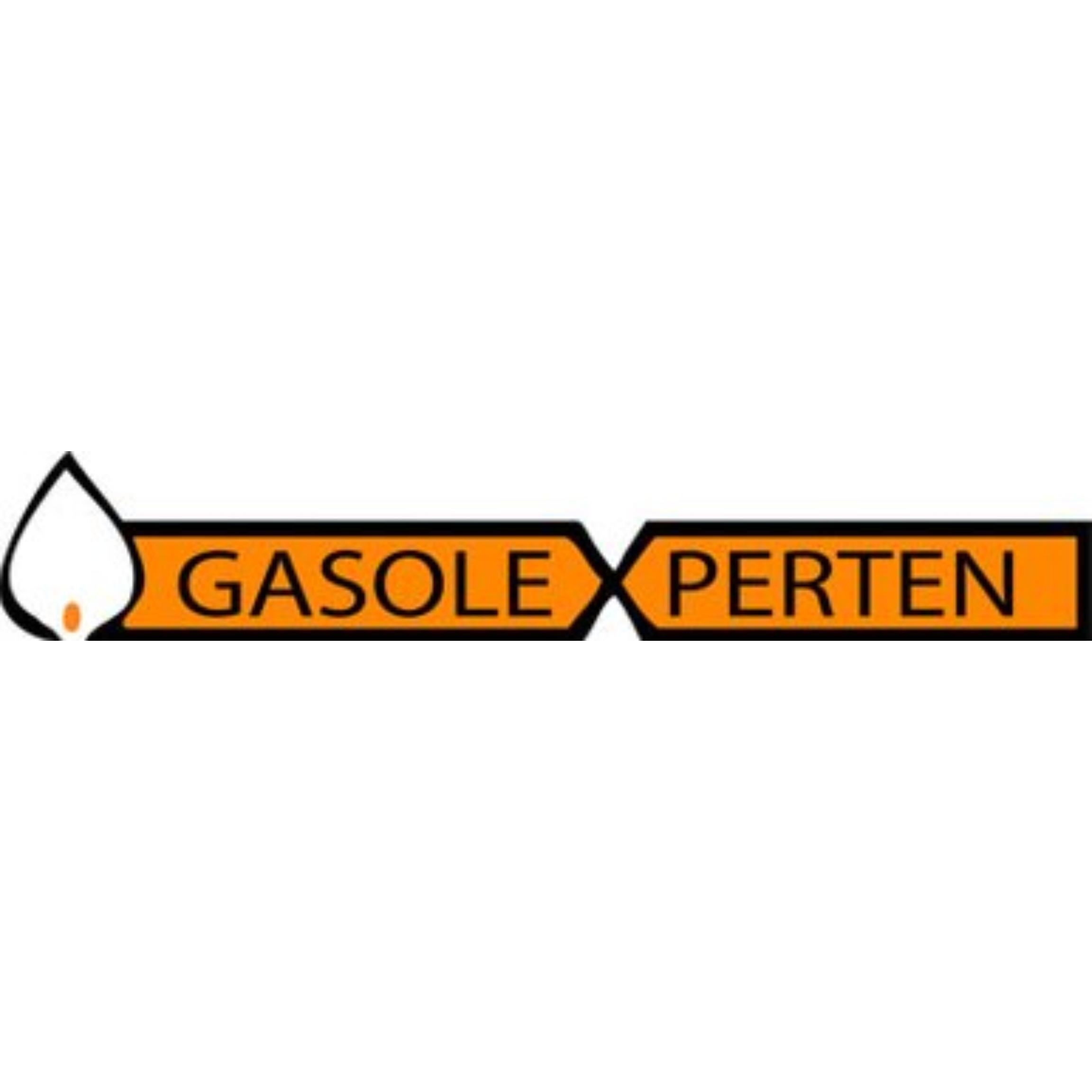 Gasolexperten L. Borwin