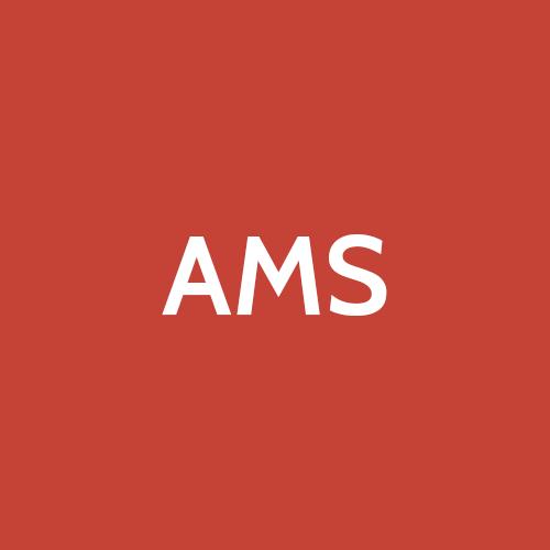 Affordable Mini Storage Inc.