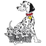 Slangerup Dyreklinik ApS