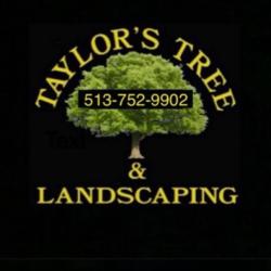 Taylor's Tree & Landscaping