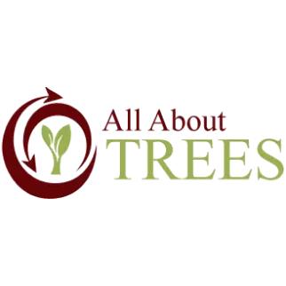 All About Trees