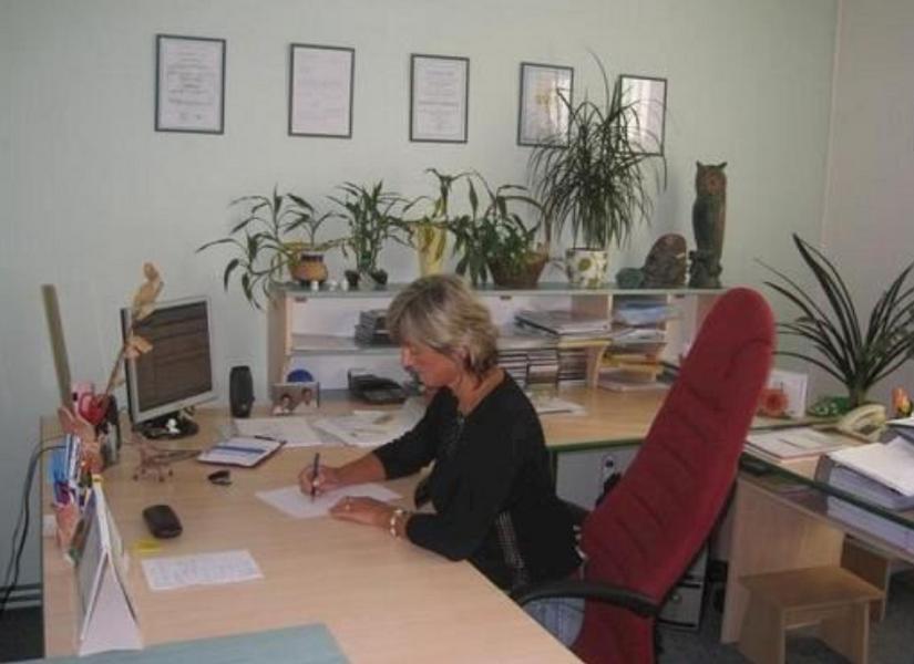 Audit-daně STEINOVÁ s.r.o.