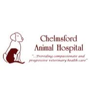 Chelmsford Animal Hospital
