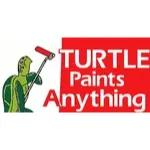 Turtle Paints