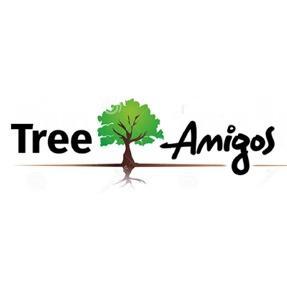 Tree Amigos Orlando