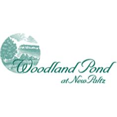 Woodland Pond At New Paltz
