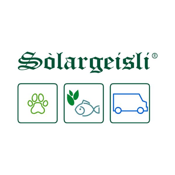 Solargeisli