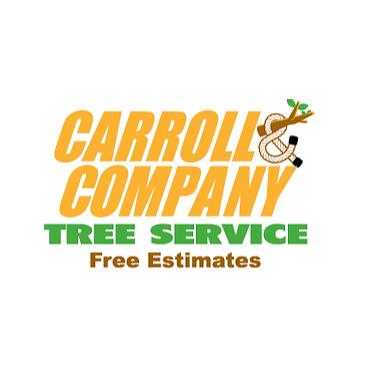 Carroll And Company Tree Service