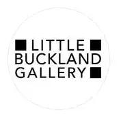 Little Buckland Gallery