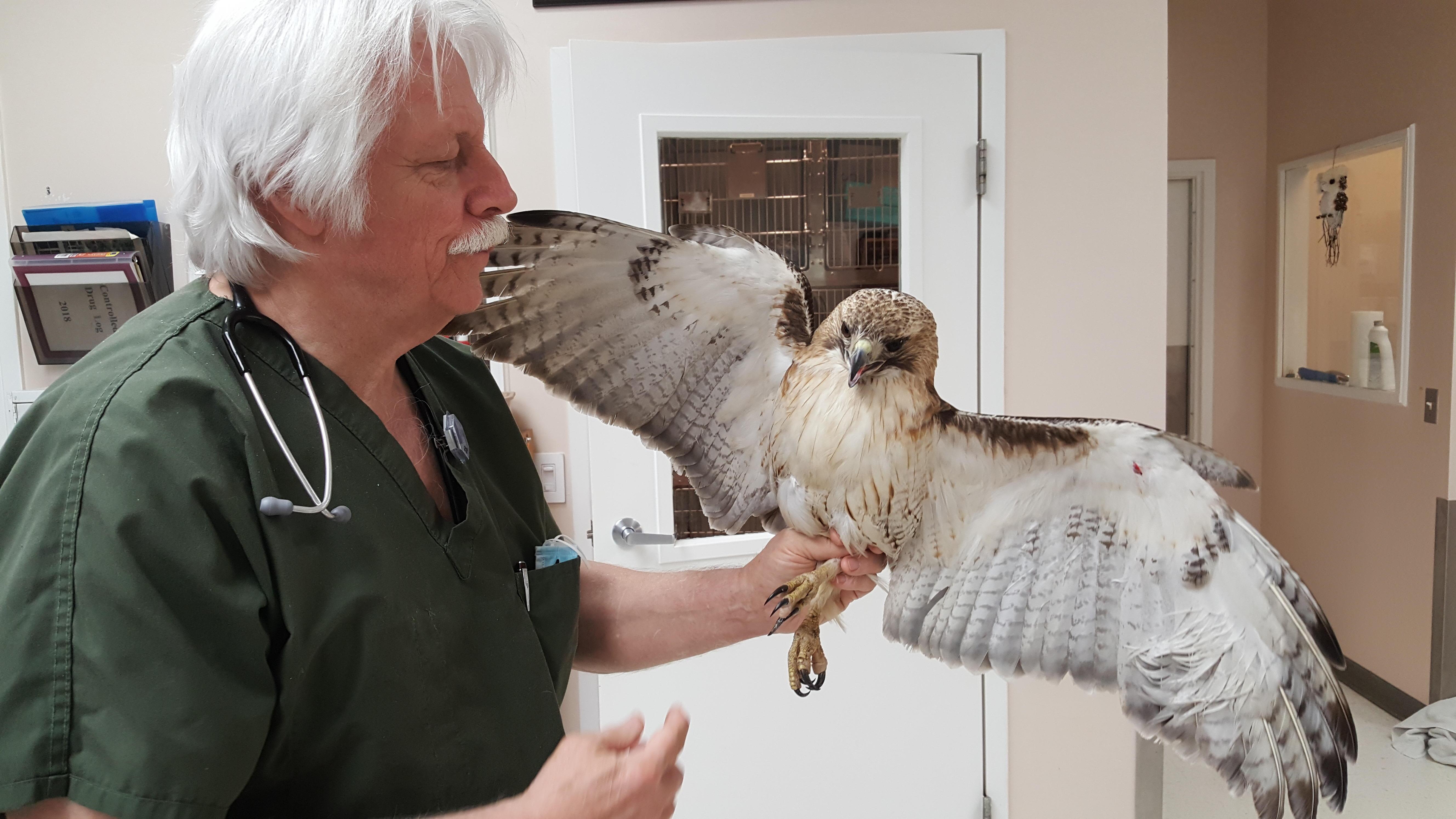 Village Veterinary Clinic