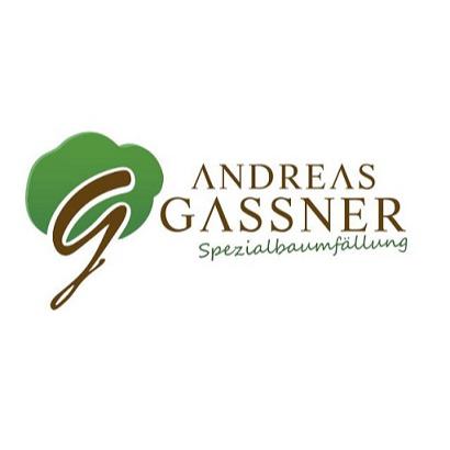 Spezialbaumfällung Andreas Gassner