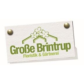 Große Brintrup - Floristik & Gärtnerei