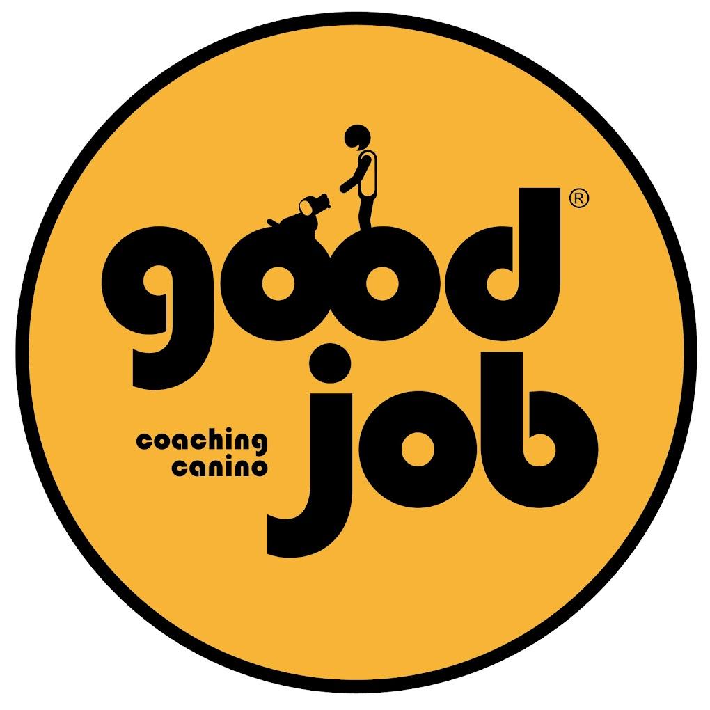 Adiestramiento Good Job
