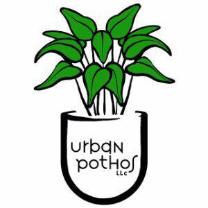 Urban Pothos Houseplant Shop