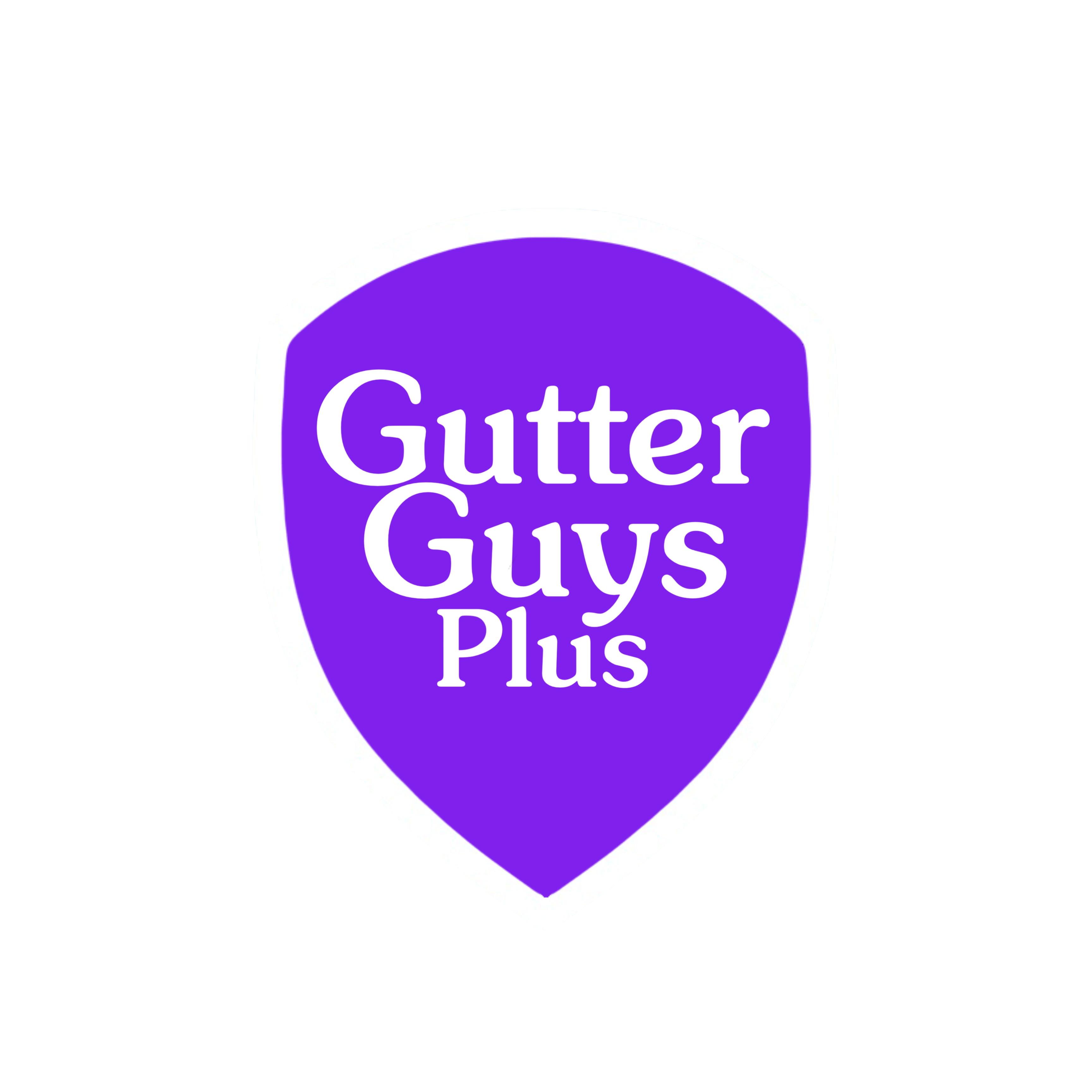 Gutter Guys Plus