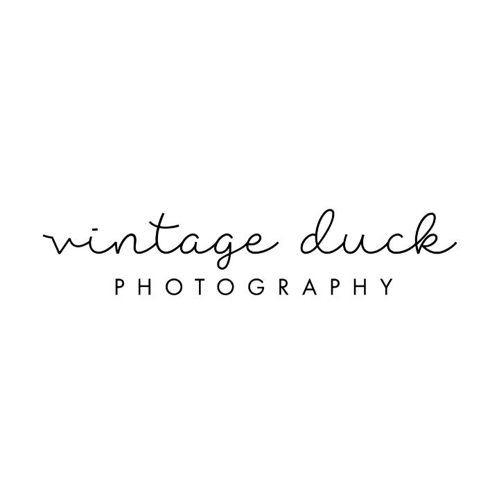 Vintage Duck Photography