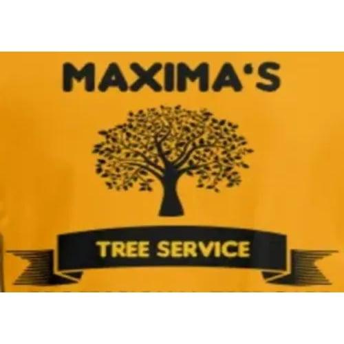 Maxima's Tree Service LLC