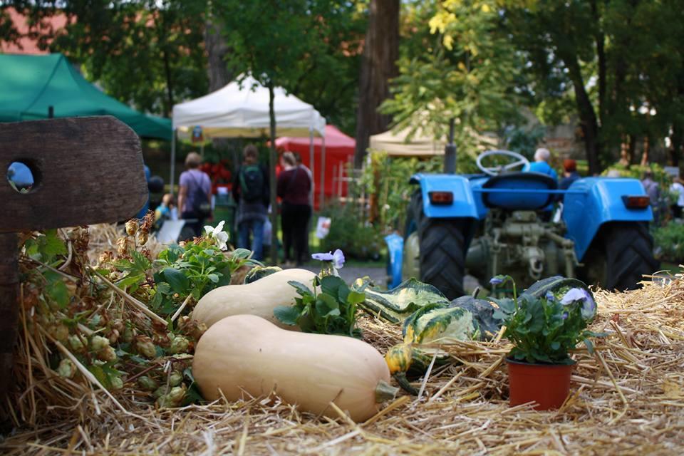 Zahrádkářská výstava ZAHRADA VĚŽKY