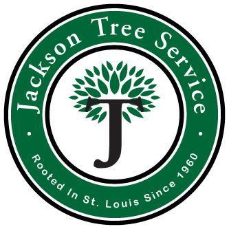 Jackson Tree Service