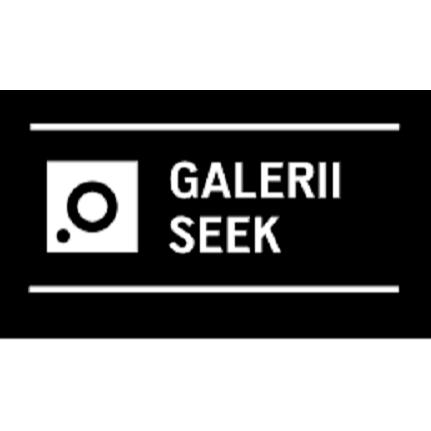 Galerii Seek